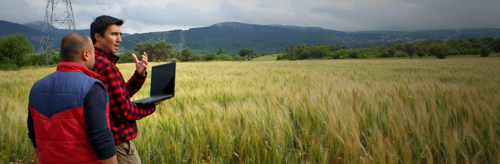 Tecnicatura Universitaria en Negocios Agroecológicos