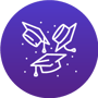 Egresados Egresados