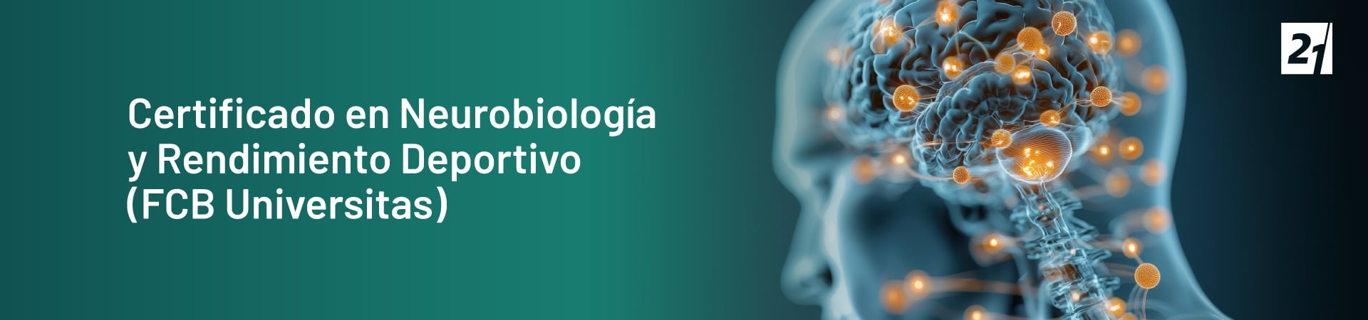 Header Desktop Certificado en Neurobiología y Rendimiento Deportivo (FCB Universitas)
