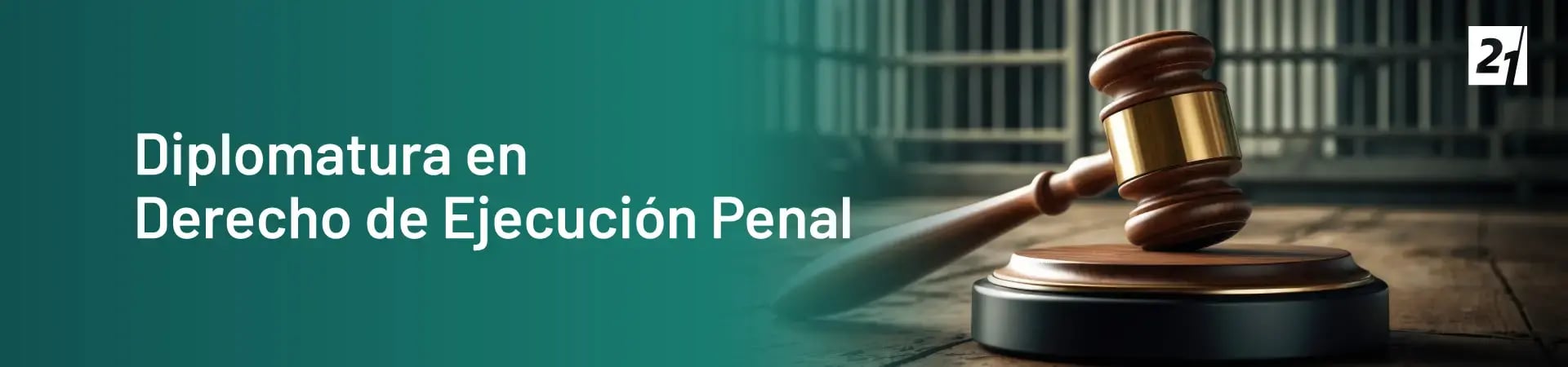 Header Desktop Diplomatura en Derecho de Ejecución Penal Header Desktop Diplomatura en Derecho de Ejecución Penal