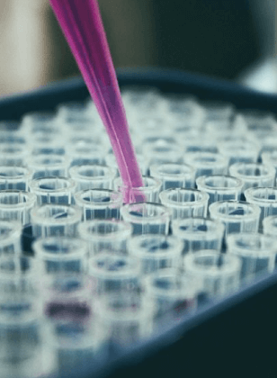 programa-tecni-crimen-img