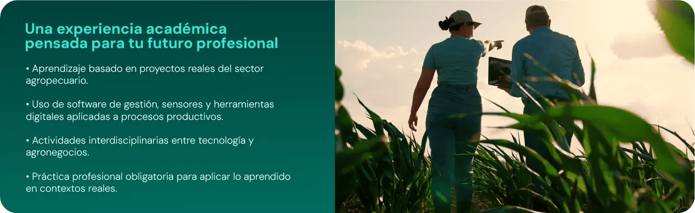 banner-desktop-lienciatura-agroinformatica