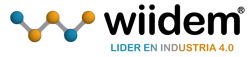 logo wiidem logo wiidem
